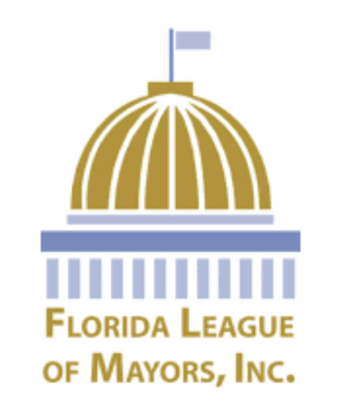 If I were Mayor - Middle School Essay Contest