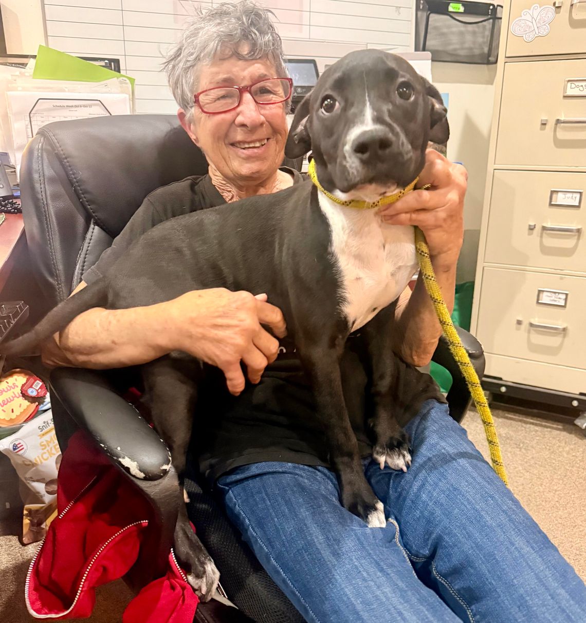 Pet Heroine Judy Sarullo Shelters Animals From Near and Far in Sanford
