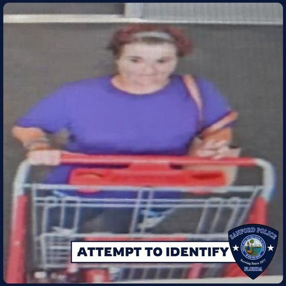 Sanford Police Investigate Target Theft Sanford Police Investigate Target Theft