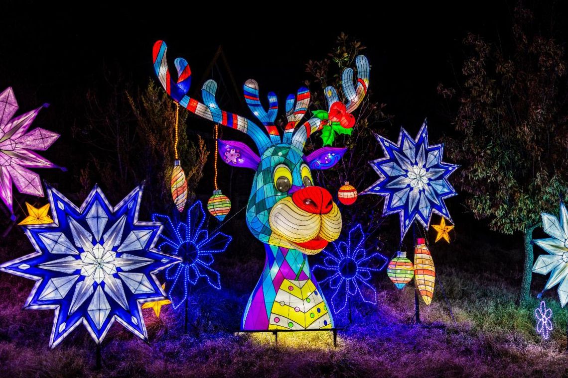 Santa to Make Stop at Asian Lantern Festival: Into the Wild on Dec. 13 and 20