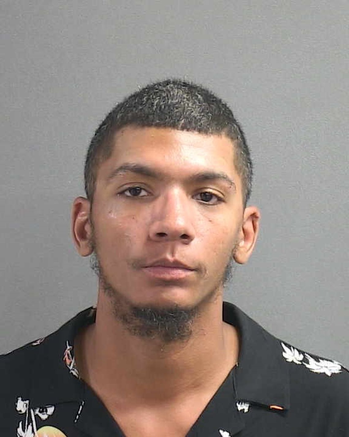Six-Year-Old Girl and Dog Found Abandoned in Deltona Six-Year-Old Girl and Dog Found Abandoned in Deltona