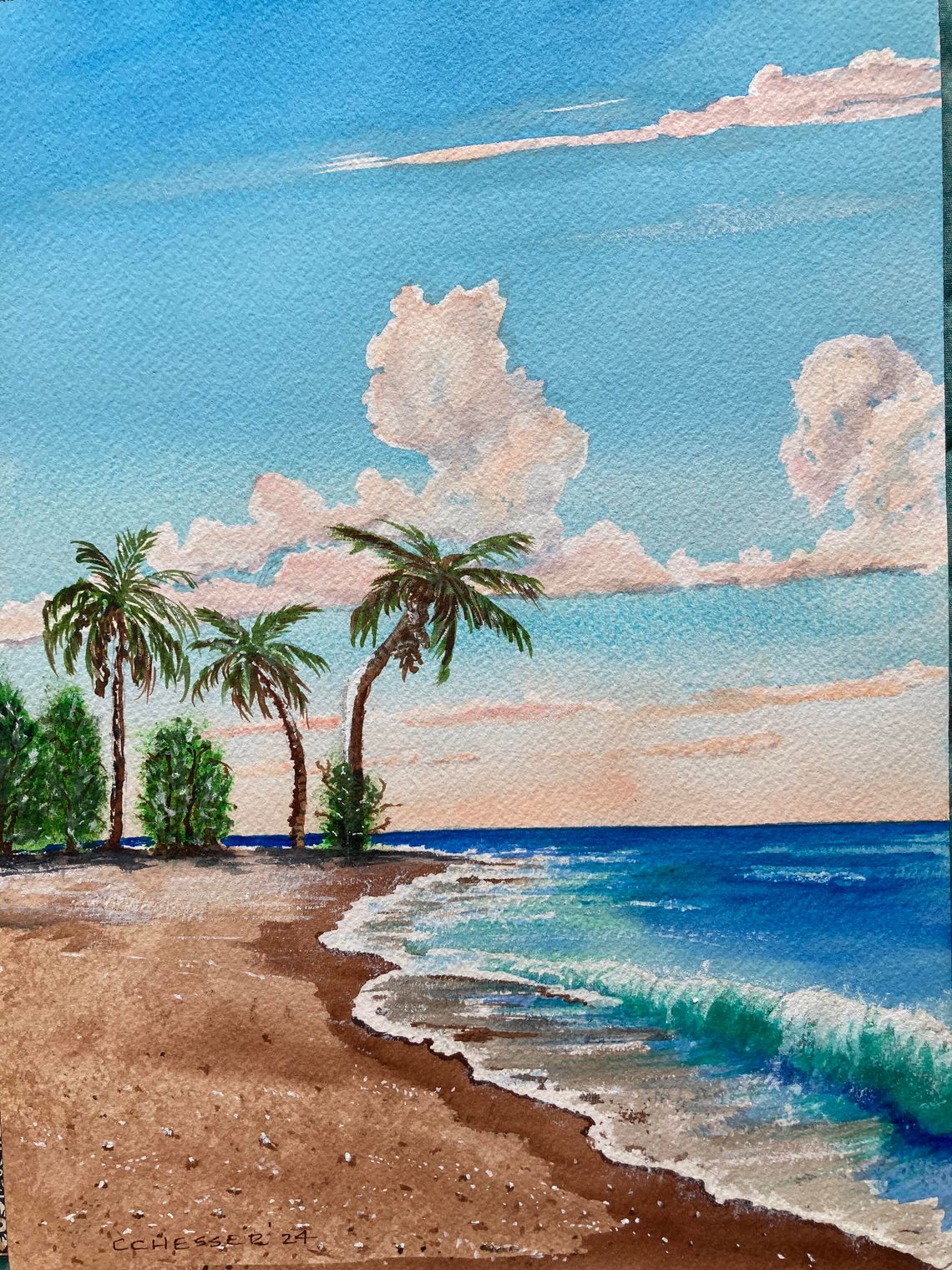 SSAA Exhibit “Summer Fun”